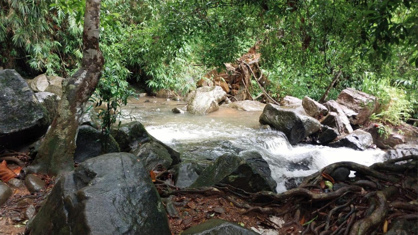Salmanel Resort Ratnapura Exterior foto